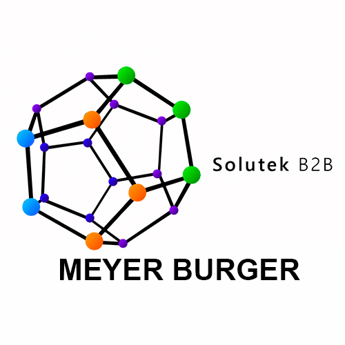 Asesoría para la compra de paneles solares Meyer Burger