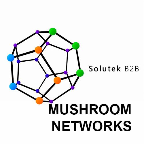 diagnóstico de routers Mushroom Networks