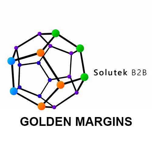 diagnóstico de monitores Golden Margins
