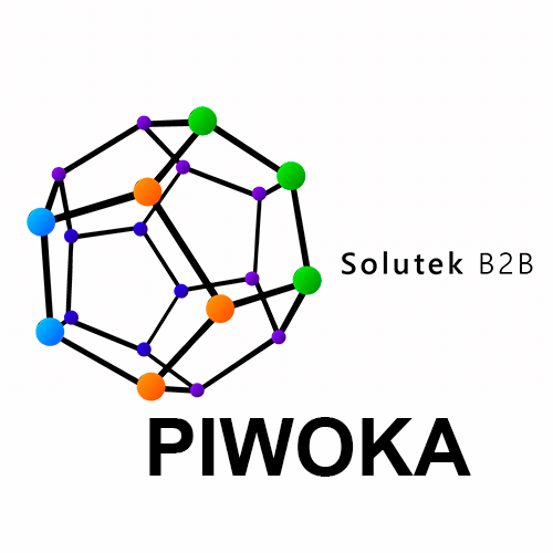 mantenimiento correctivo de cámaras Piwoka