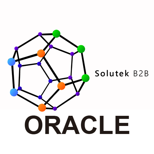 mantenimiento preventivo de servidores Oracle