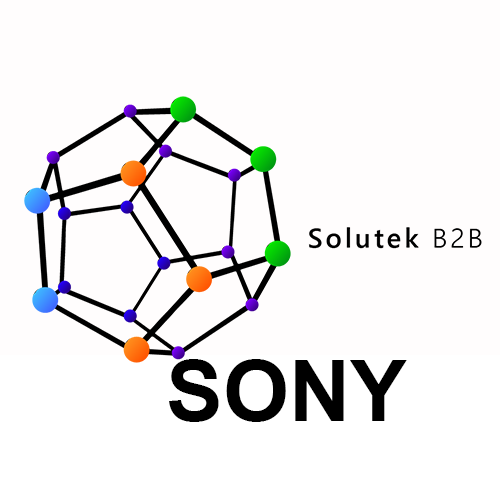 soporte técnico de altavoces Sony