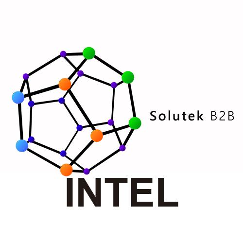 soporte técnico de servidores Intel
